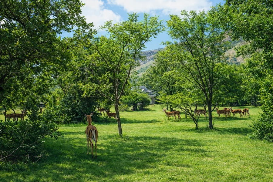 1 Bedroom Property for Sale in Wigwam North West